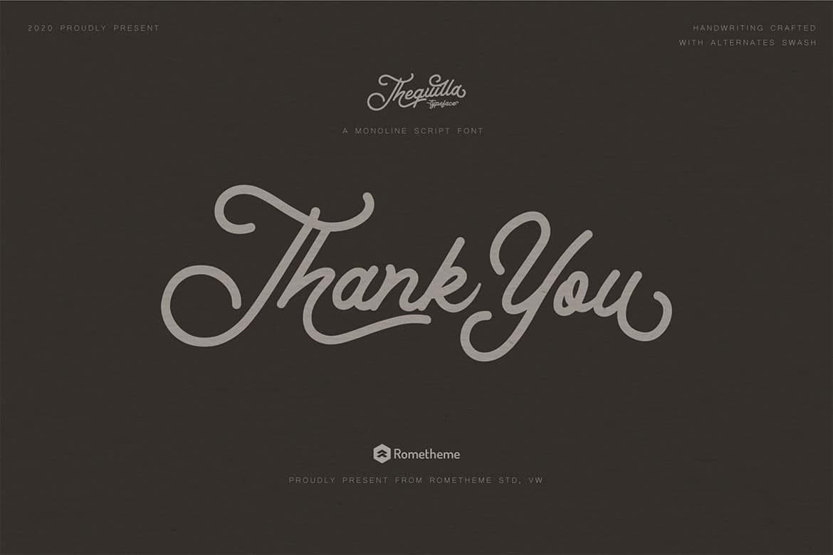 Thequilla - Monoline Script Font - Image 7