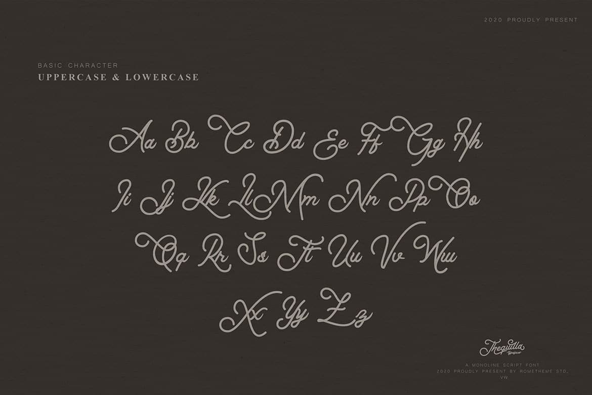 Thequilla - Monoline Script Font - Image 6