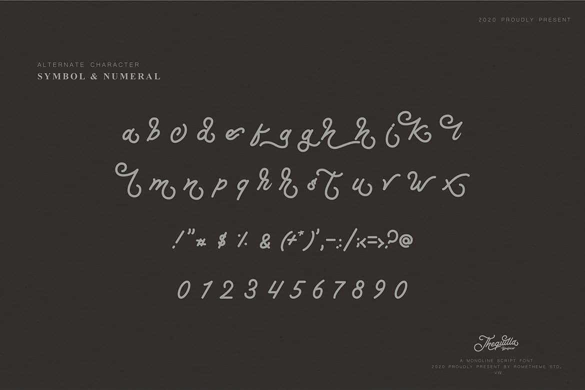Thequilla - Monoline Script Font - Image 5