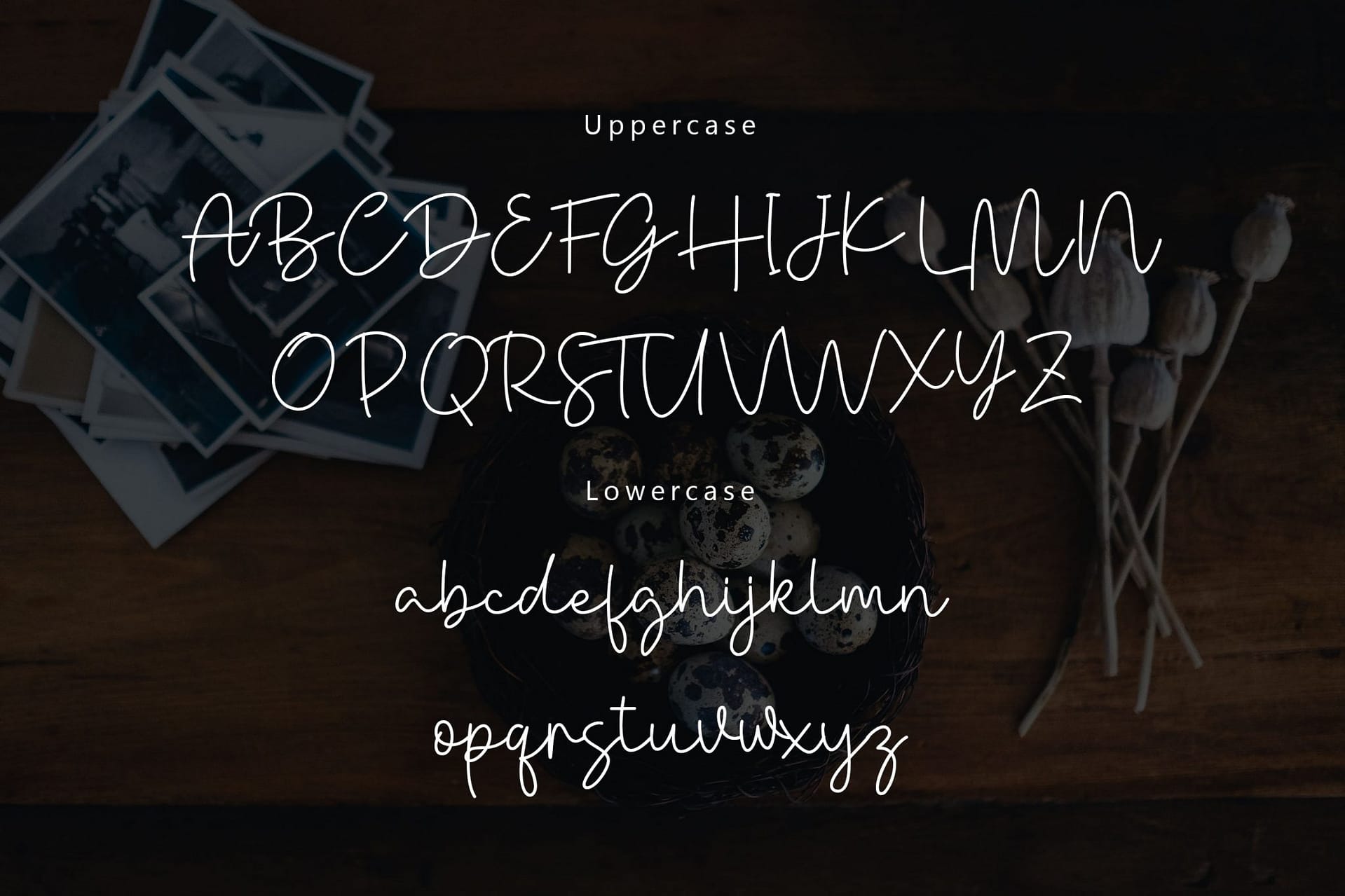 Danielle Signature - Handwritten Font - Image 4