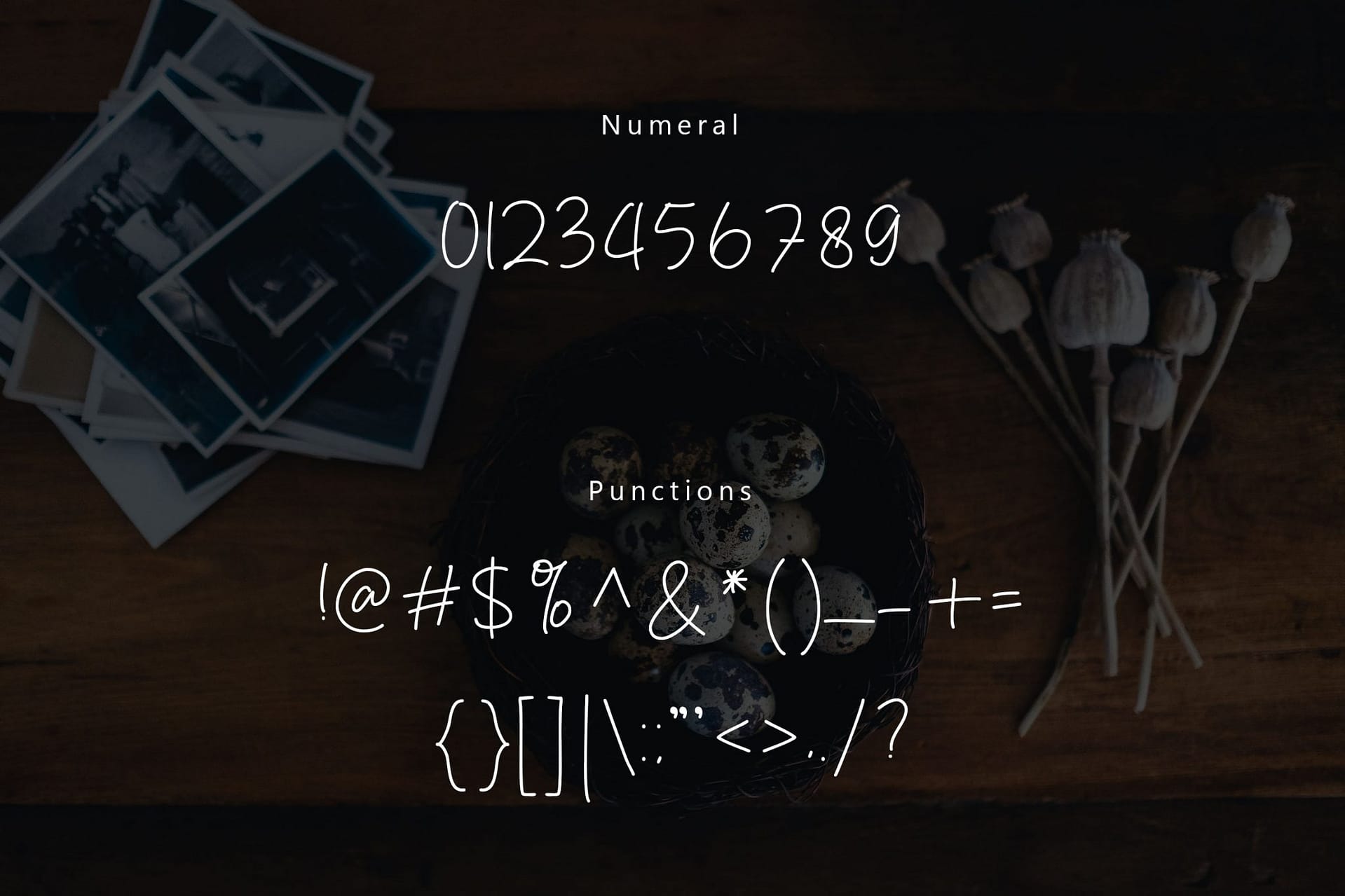 Danielle Signature - Handwritten Font - Image 5