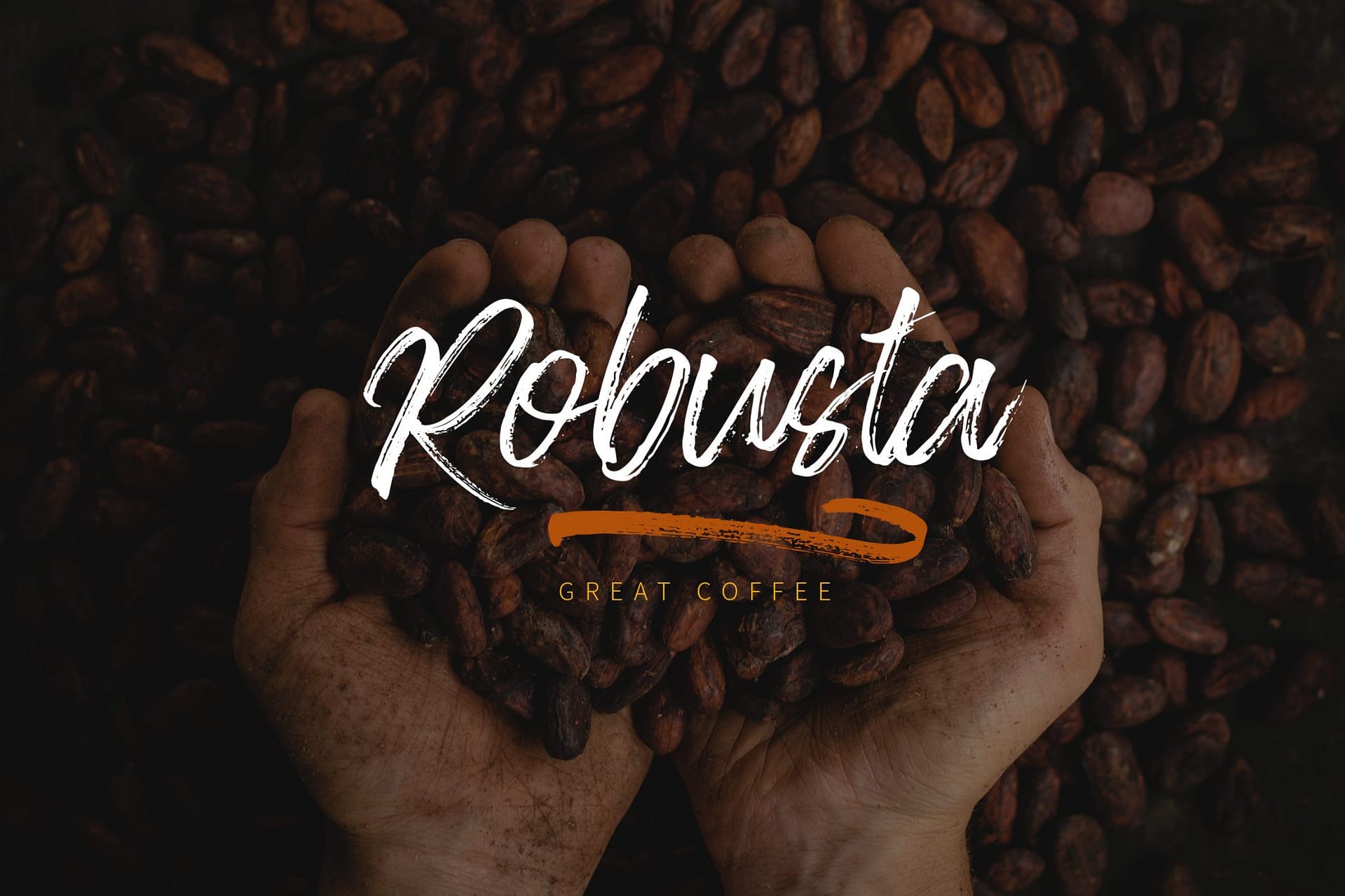 Blackpine - Handbrush Typeface - Image 3