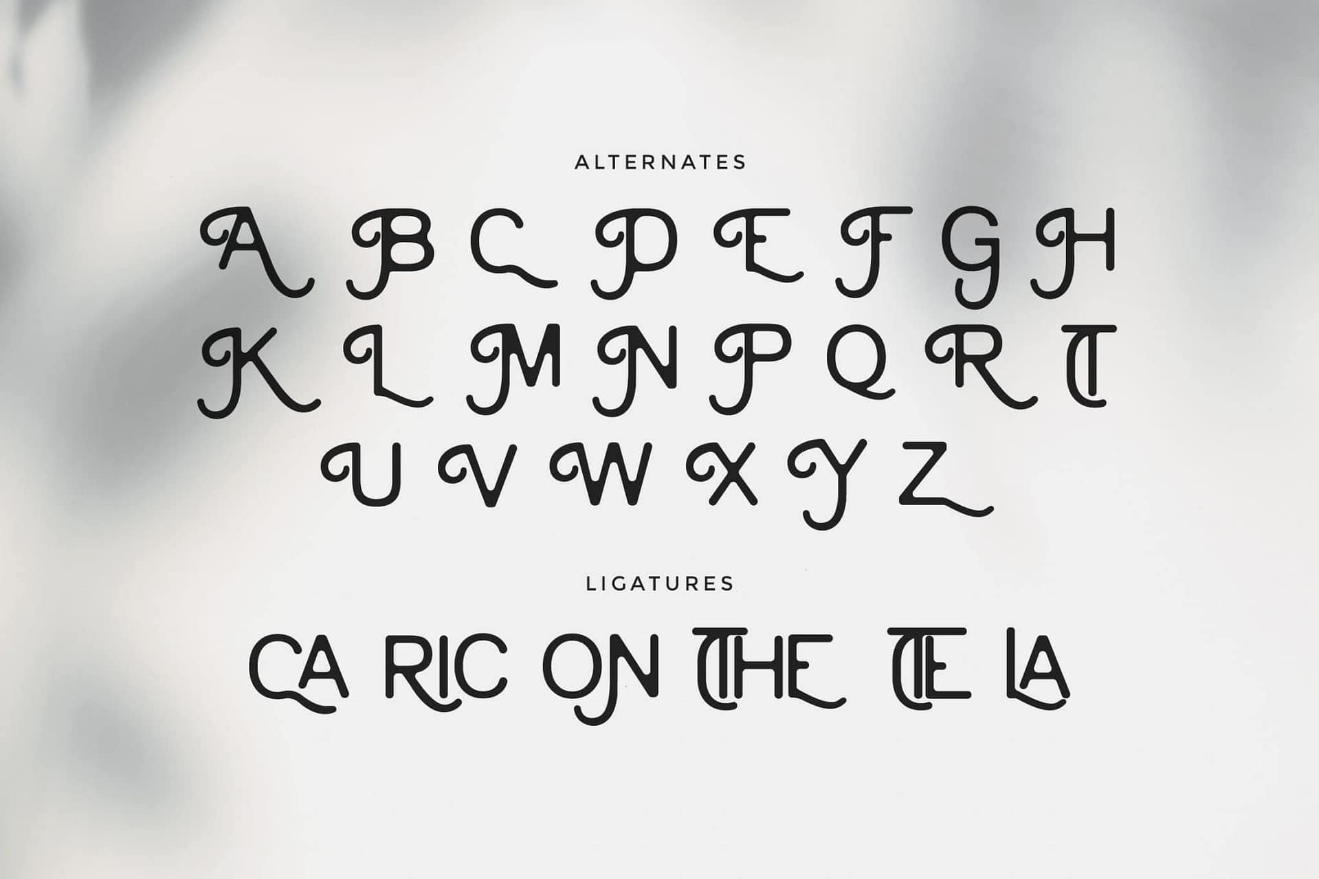 Cainamons - Vintage Font - Image 9